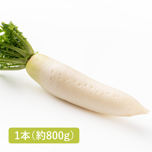 大根(神奈川県産)