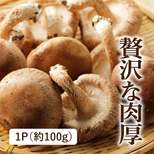 有機椎茸（岐阜県産）