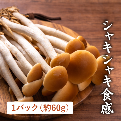 キノコ村さんの柳まつたけ（長野県産）