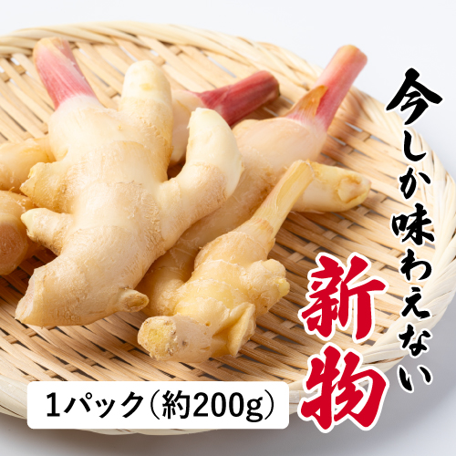 新生姜 （高知県産）
