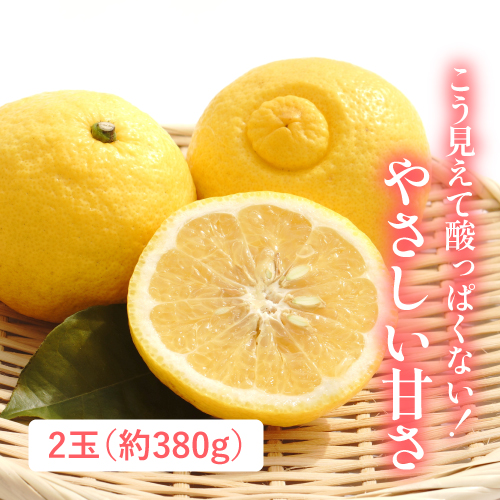 はるか（愛媛県産）