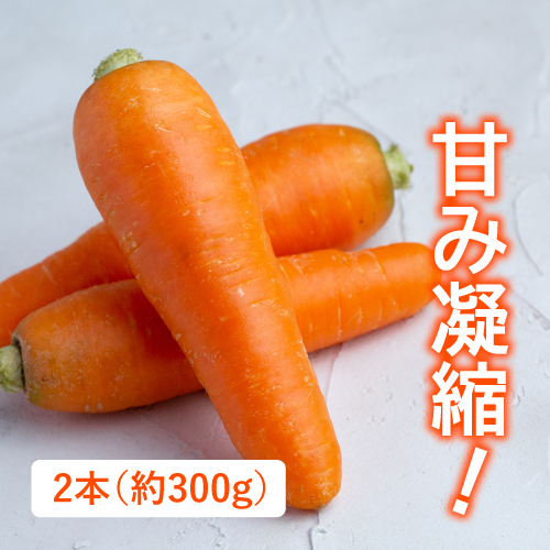 魚沼雪下人参（新潟県産）