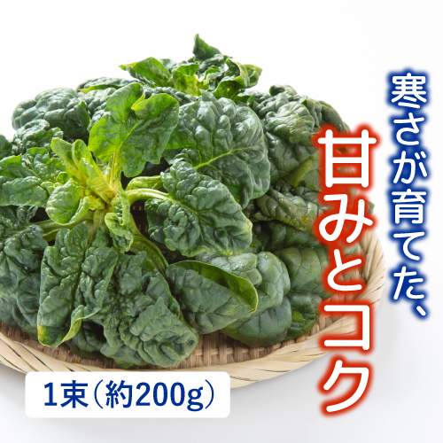 有機ちぢみほうれん草（千葉県産）