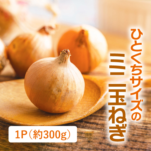 ペコロス（北海道産）