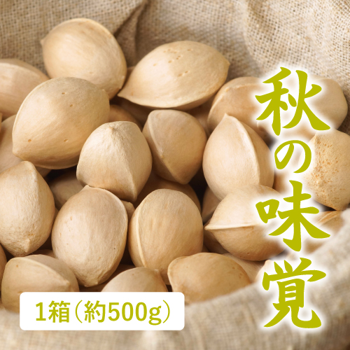 祖父江のぎんなん（愛知県産）