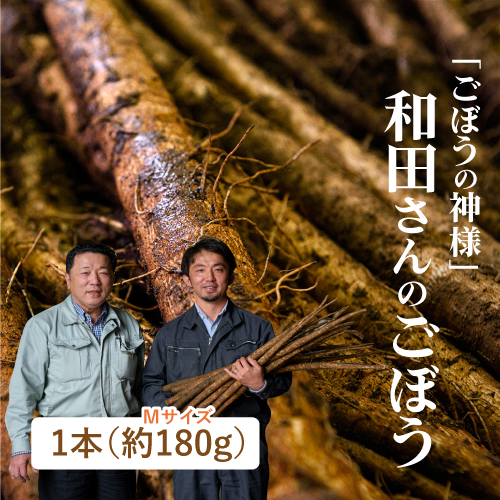 和田さんのごぼう(Mサイズ・北海道産）