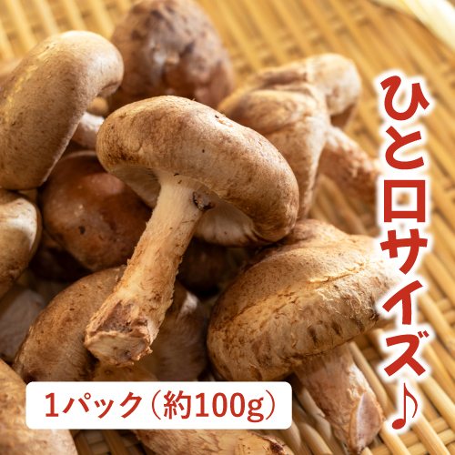 有機ちび椎茸（兵庫県産）