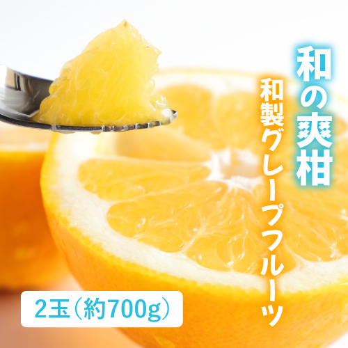 美生柑（愛媛県産）