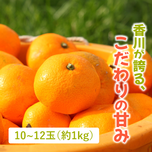 フジカワ果樹園さんのみかん（香川県産）