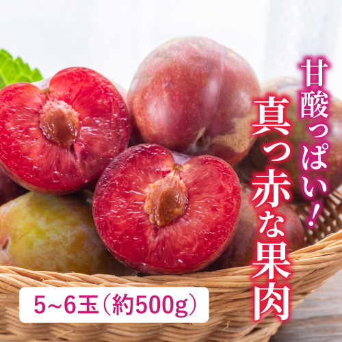 ソルダム（山梨県産）