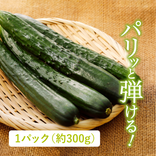 ちちぶ丸山農園さんのきゅうり（埼玉県産）