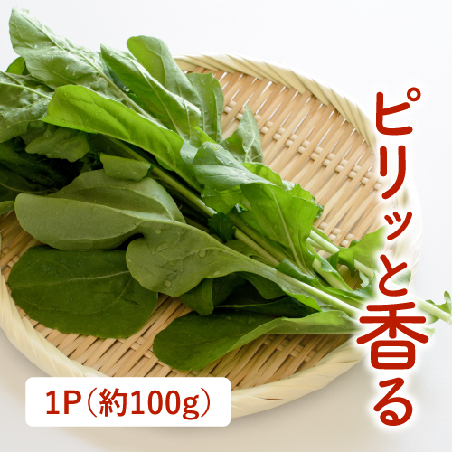 ルッコラ（茨城県産）