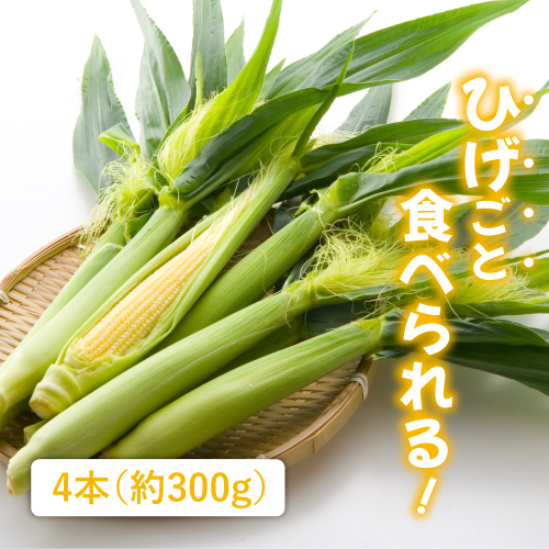 国産ヤングコーン（山梨県産）