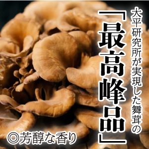 黒舞茸（埼玉県産）