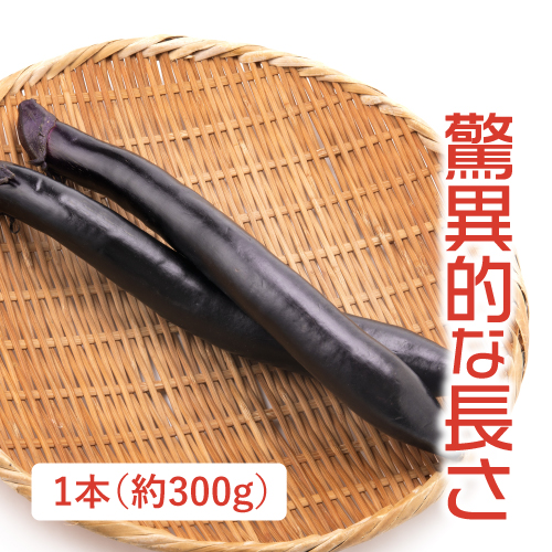 大長なす（熊本県産）