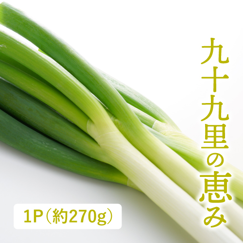 白砂ねぎ(千葉県産)