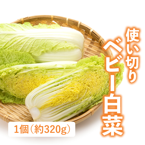 わわ菜（茨城県産）