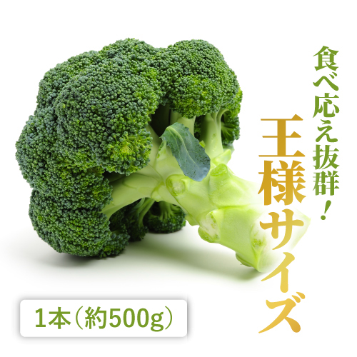 KINGブロッコリー（徳島県産）