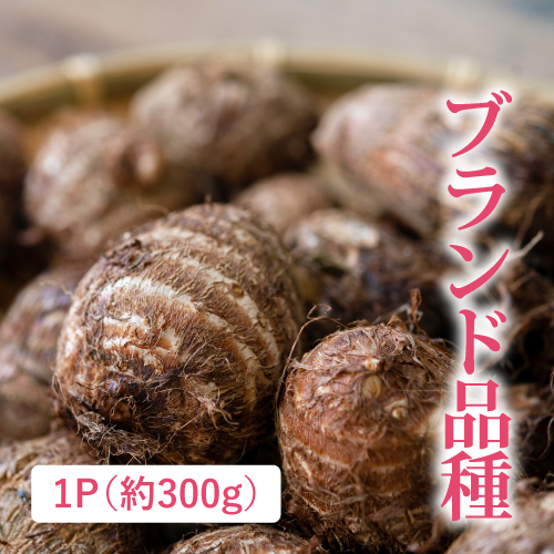 きぬおとめ（里芋）（新潟県産）