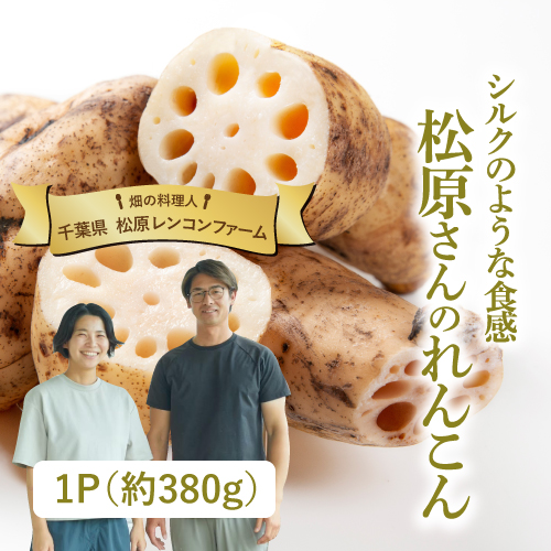 松原さんのれんこん（千葉県産）