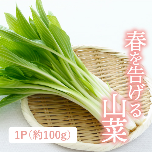 魚沼うるい（新潟県産）