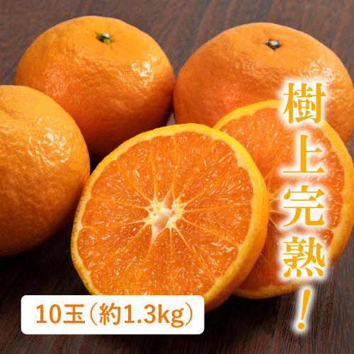 カラマンダリン 10玉（三重県産）