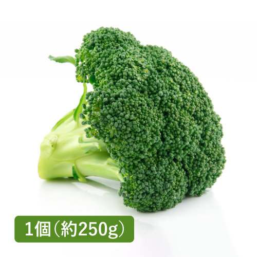 ブロッコリー(熊本県産)