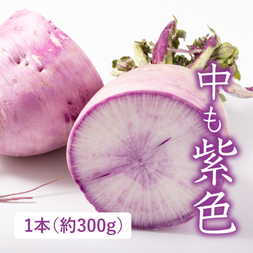 有機紅しぐれ大根 （茨城県産）