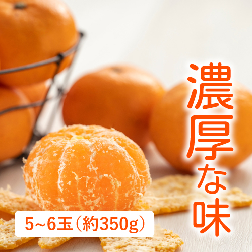 ハウスみかん （佐賀県産）