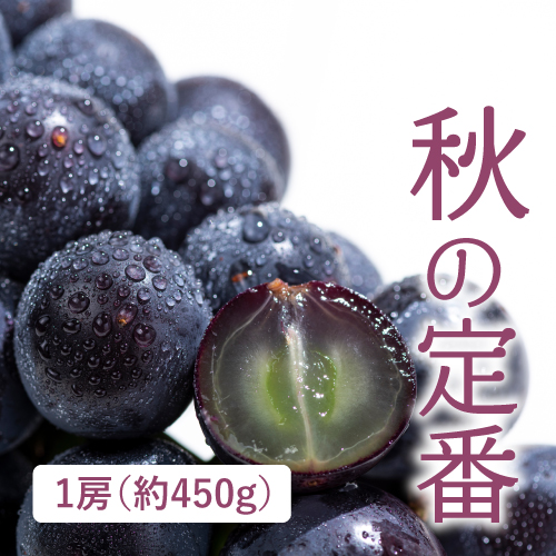 種なし巨峰（山梨県産）
