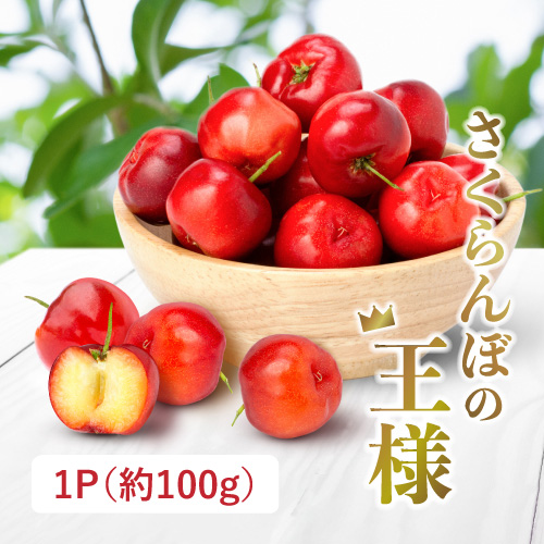 さくらんぼ佐藤錦（山形県産）
