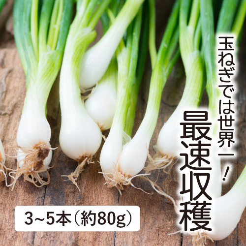 オニオンヌーボー（静岡県産）