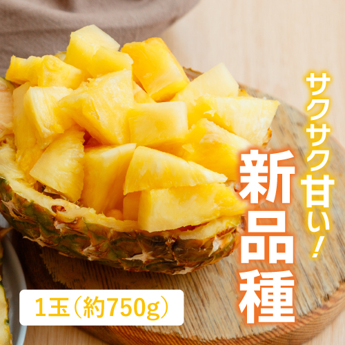 沖縄パイン（サンドルチェ）（沖縄県産）