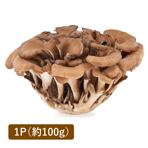 舞茸(長野県産)