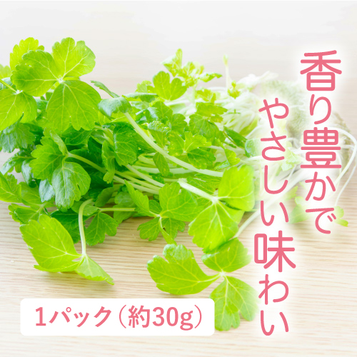 サラダdeセロリ（福島県産）