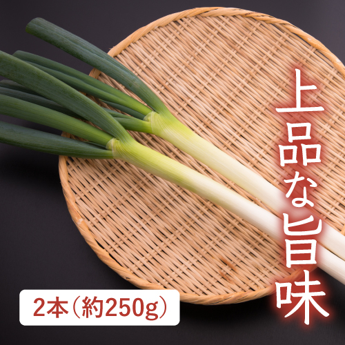 蜜の雫（長ねぎ）（埼玉県産）