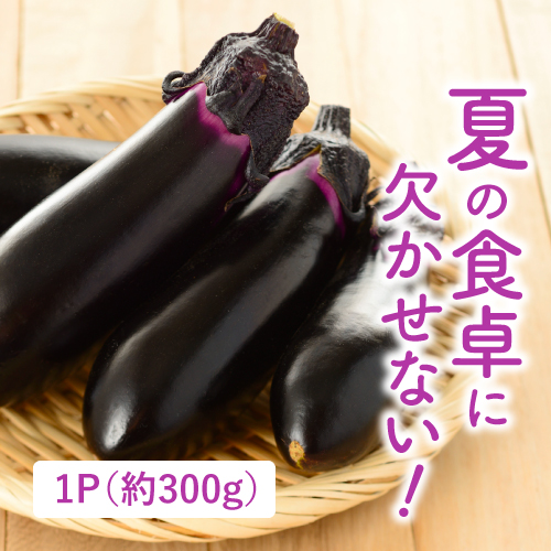 有機なす（茨城県産）