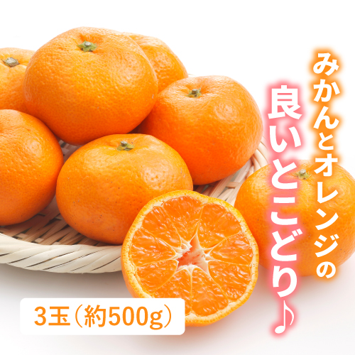 はれひめ（愛媛県産）