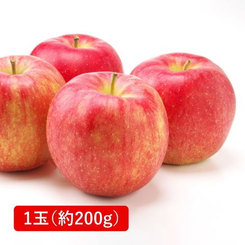 ふじりんご(青森県産)