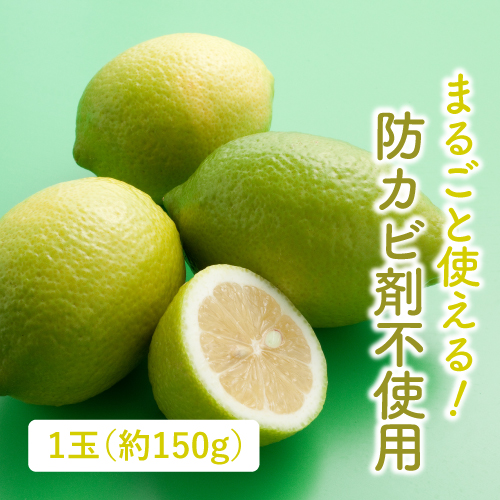 有機レモン（広島県産）