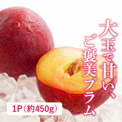貴陽プラム（山梨県産）