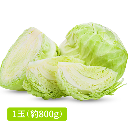 キャベツ(静岡県産)