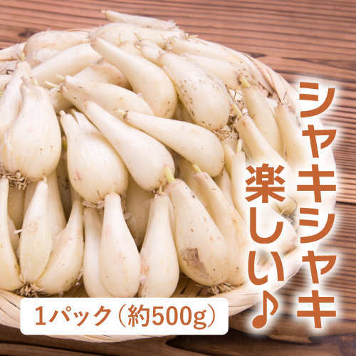 らっきょう（鹿児島県産）