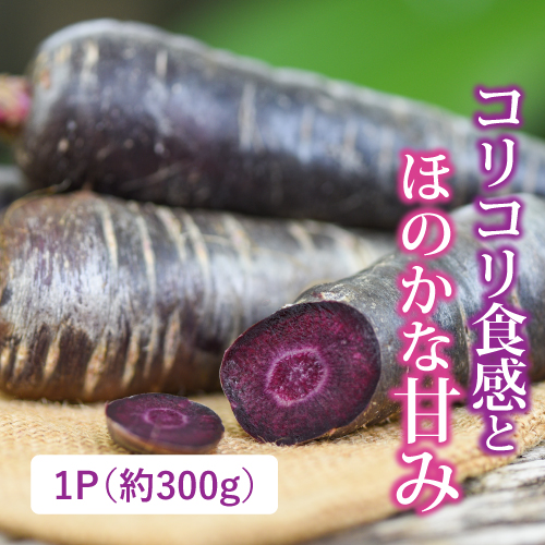紫人参（北海道産）