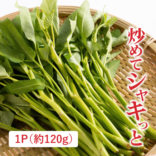 有機空芯菜（茨城県産）