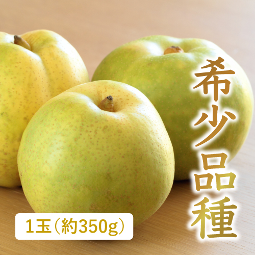 秋麗梨（熊本県産）