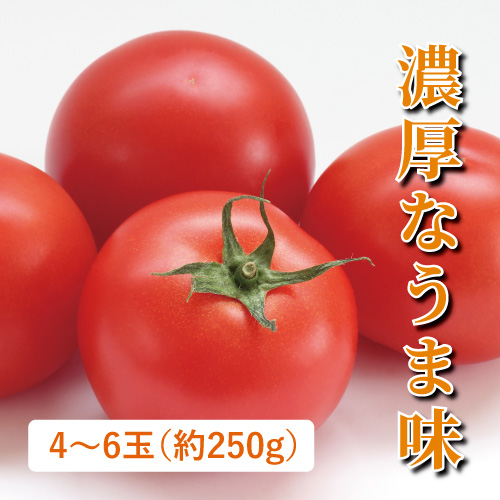 樫山農園のフルーツトマト（徳島県産）