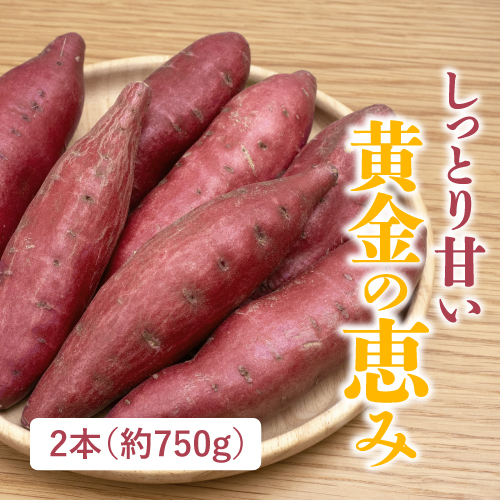 行方の黄福（さつまいも）（茨城県産）