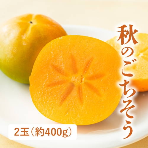 種なし柿（和歌山県産）