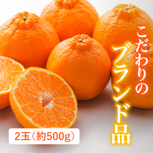 デコポン（熊本県産）